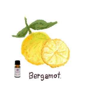 眠れない夜におすすめベルガモットの香り