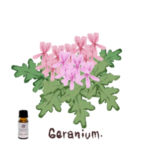 ゼラニウム精油でリラックス