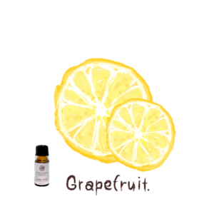 グレープフルーツ精油で気分をリフレッシュ