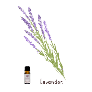 眠れない夜におすすめラベンダーの香り