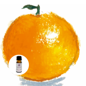 オレンジスイート精油でリラックスして集中力アップ