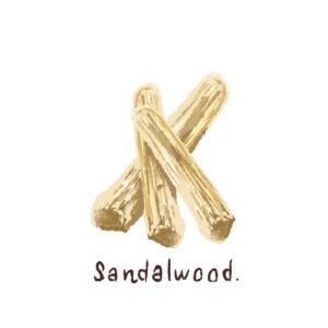 眠れない夜におすすめサンダルウッドの香り