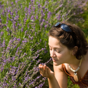 ラベンダー畑で香りを嗅ぐ女性